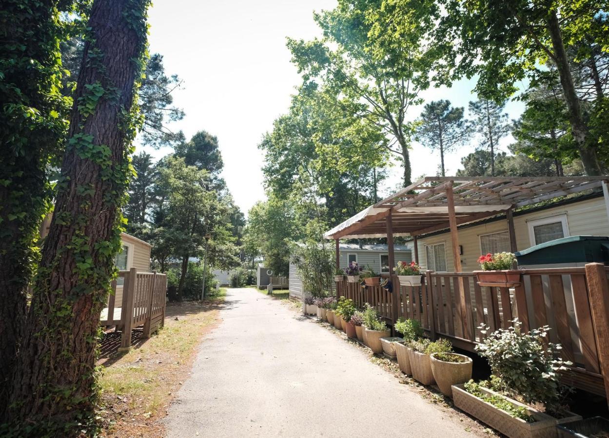 Taxo Les Pins - Maeva Campsite